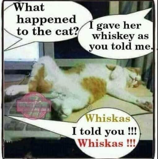 FB_IMG_1681094625041