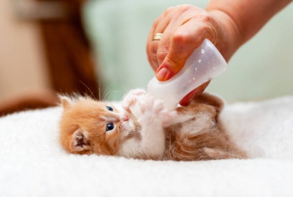 main-qimg-08af97b5b9cd687498113c9205969bab