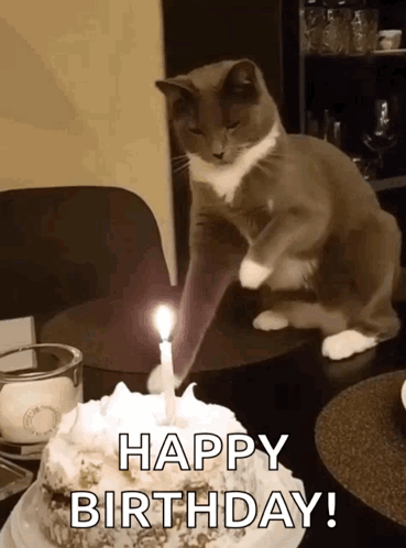 PutOutTheCandlePutItOutGIF