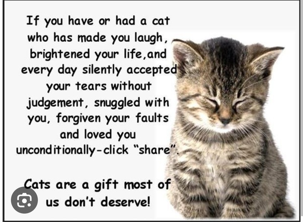 main-qimg-0326da53f66cf31e867e140c38a1be98