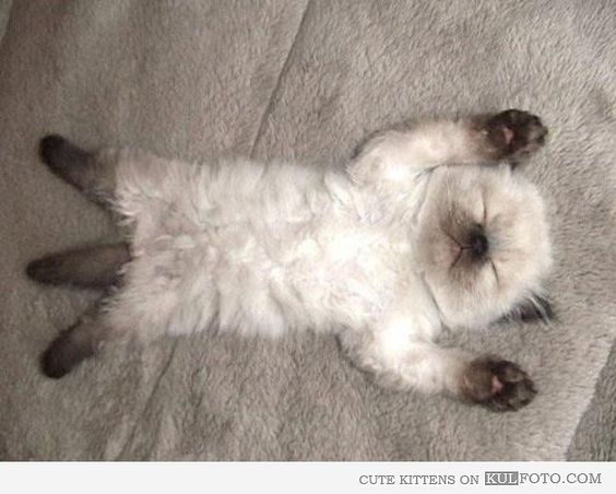 main-qimg-156344316dbe180de8906aa9766a6082