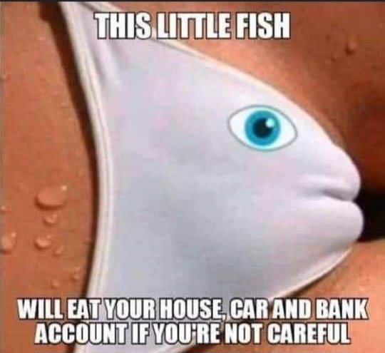 FvxHRJbWAAAABa-