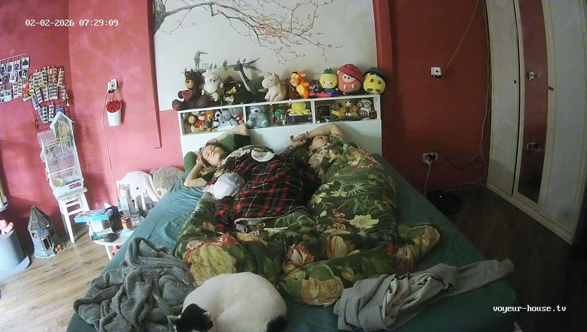 realm60-cam16-1770062644