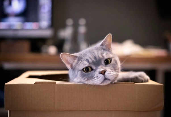 main-qimg-b0e58d08f0ec6b92d8312604afdcce4e