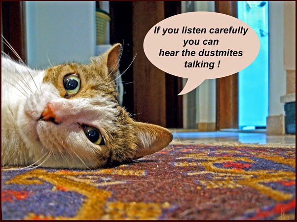 main-qimg-7bd2d5767fb32b2a75934daeeae10ddb